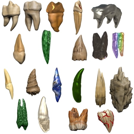 Dungeons & Dragons: Teeth of Dahlver-Nar - Bite-Sized Artifact