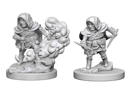 Dungeons & Dragons: NMU - Male Halfling Rogue (W1)